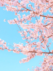 [장편/NPS] 우유 데우는 방법 (完)