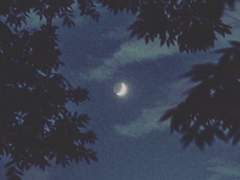 [하이큐 드림] 여우랑 놀자-!