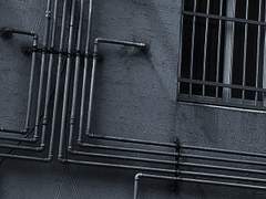 아부 속 피어나는 촌철살인