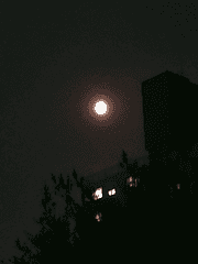 누군가의 그 때,