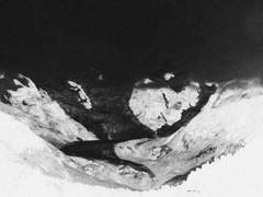 그대들의 다정한 삶 오래도록 남기게.