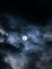 Omniscient Readers Viewpoint