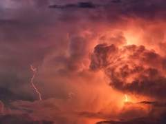 02. 루시안 데릭 아르빈체