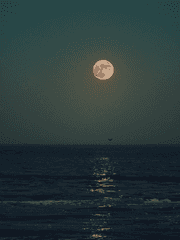 그리움-[달하 노피곰 도다샤]