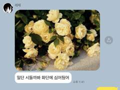 체인소맨 카톡 카피페 드림 2.