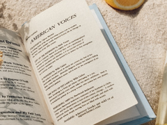 Type B. 주접 캐해석 피드백 타입 공지