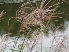 창원, 주남저수지