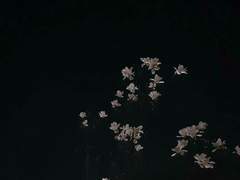 네가 다시 필요해