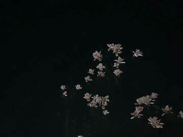 네가 다시 필요해