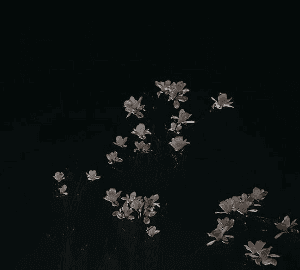 나 너무 보고싶어 근데 너무 밉다