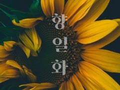 [육섭] 향일화(向日花) #9