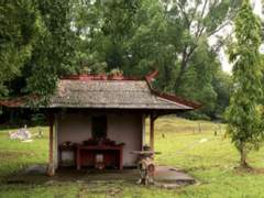 [망기무선] 나를 기억해주세요