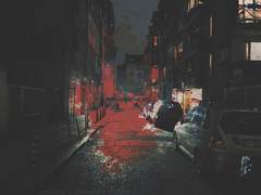 [수현다온] 달맞이꽃