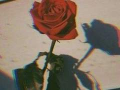 [레오이즈] 이름과 다정 +