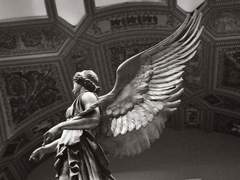 어느 목격자의 진술