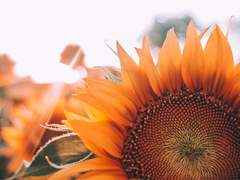 베타 공개프로필