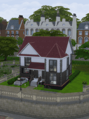 하하네 심즈이야기