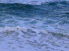 안녕, 나의 바다