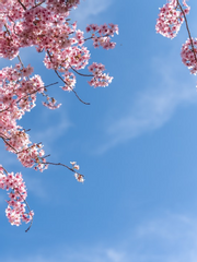 화산귀환 2차 연성