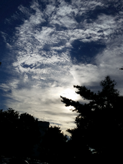 우주해적과 거짓말쟁이 주군