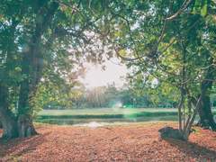 [정진] 꿈☆은 이루어진다.