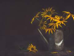 나의 바다가 사라졌다.