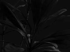 [RS] 송곳니와 발톱, 하나