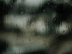 결국 처음부터 당신은 끝까지