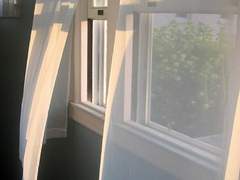 나는 아침잠이 많은 것 뿐..