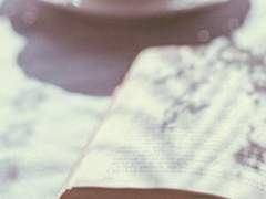 사랑을 그리던 연주자