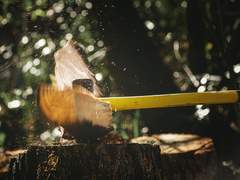 모범사신 배 + 무당에 내려온 신