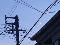 테오오늘 썰 변역데스