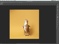 ~배경을 늘리는 방법~