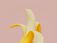 [공지] 짧은 공지 + 계획 근황