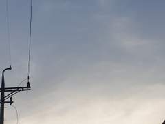 [히나른]기면증 히나타