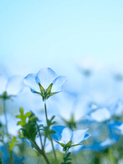 1차 창작 저장소