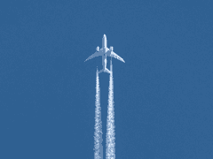 편지가 전해지면 그땐 정말 끝이다