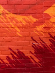 마법사가 왔어요 관련