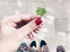 "안녕! 내 행운 나눠줄까?"