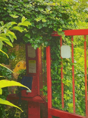 네가 기다리는 세계 (습작)