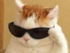 우당탕탕 시티고 홍일점