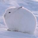 라떼 한잔으로 하루를 보내