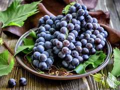 의문만이 가득한 세상 문세커 모 래 공개프로필