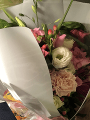 상호 최애 도전기