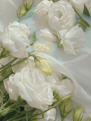 [신재조영] Another Day