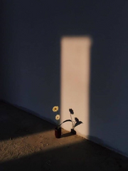 [ 전독시 x 내스급 ] 또 다른 세계