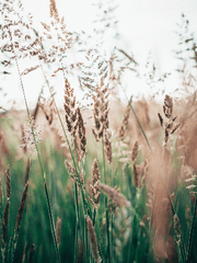 인생은 재밌게 사는거야