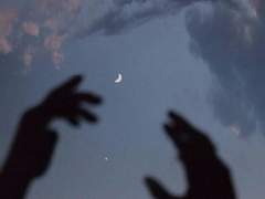 코러산트의 만우절