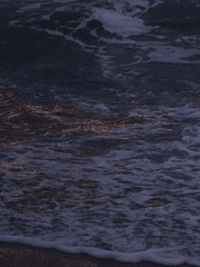 밀물을 기다리던 시간