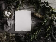 [라이브러리 오브 루이나] 수집품의 책